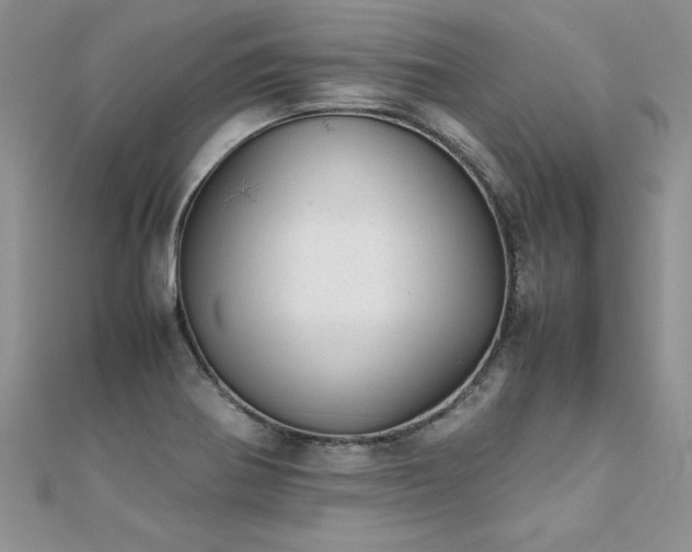 X0000112041370200908101351
