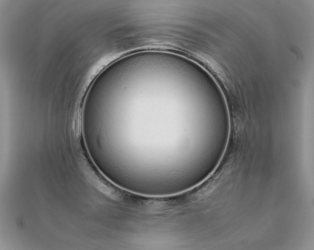 X0000112041371200908101351