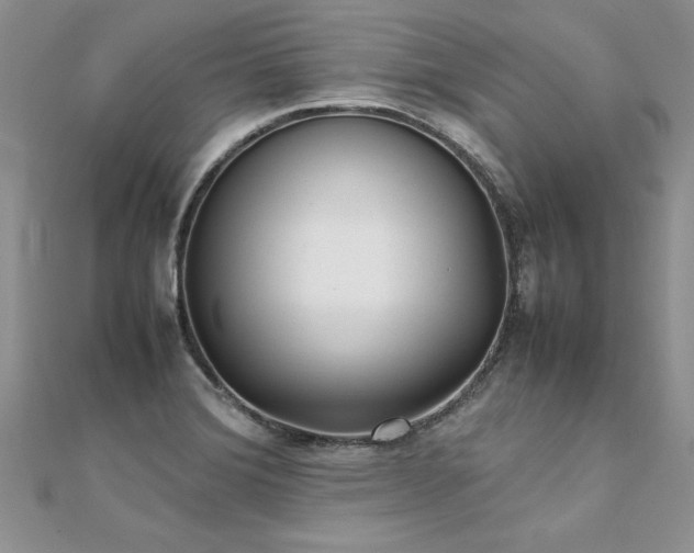 X0000112041372200908101351