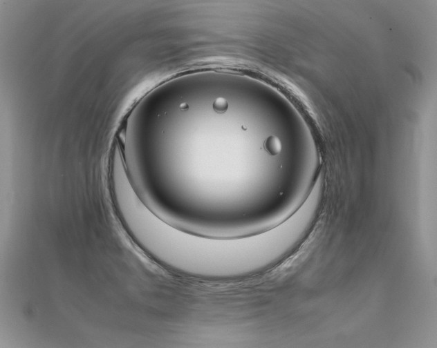 X0000112041373200908101351