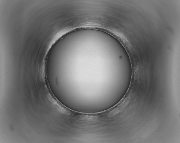 X0000112041374200908101351