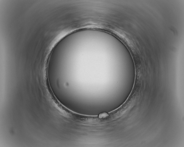 X0000112041375200908101351