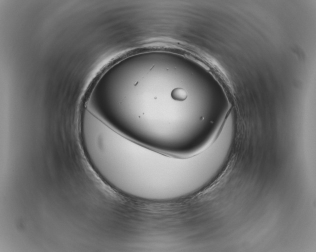 X0000112041376200908101351