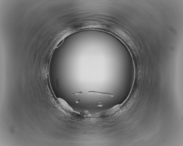 X0000112041377200908101351