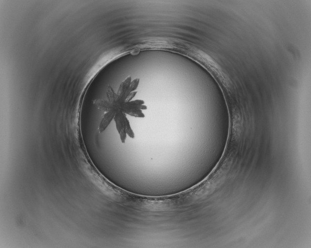 X0000112041378200908101351