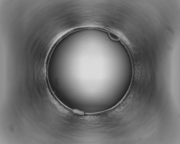 X0000112041380200908101351