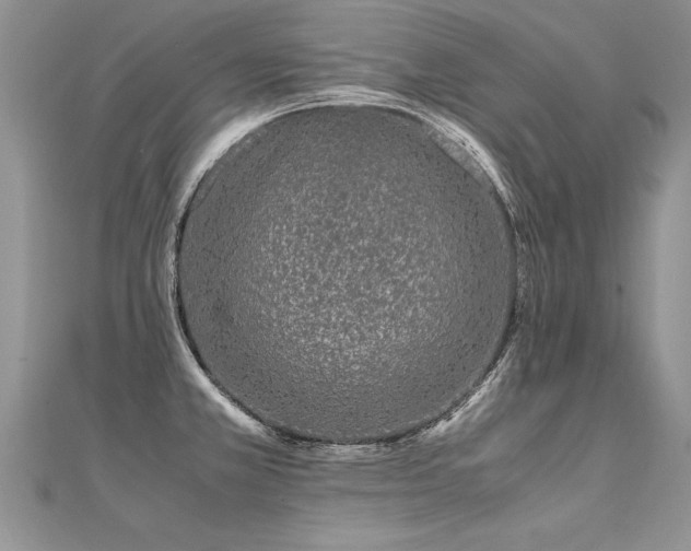 X0000112041381200908101351