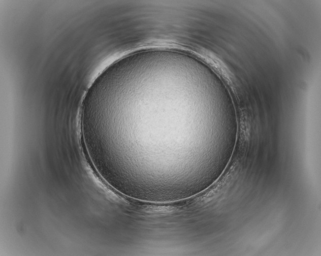 X0000112041382200908101351