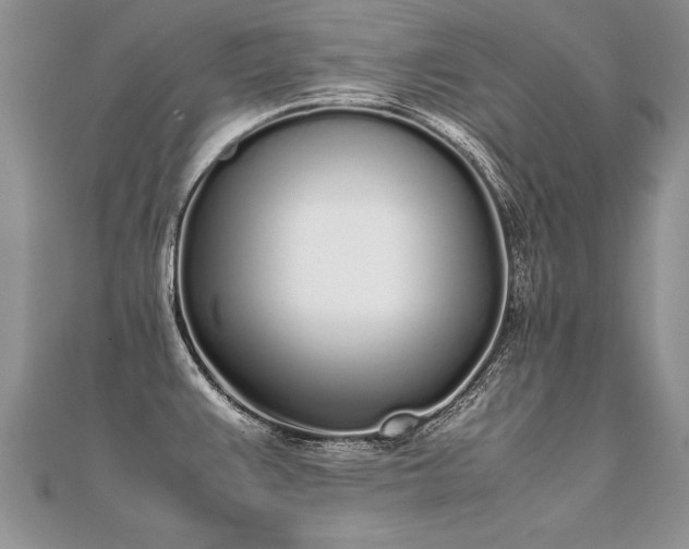 X0000112041383200908101351