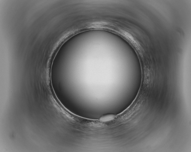 X0000112041384200908101351