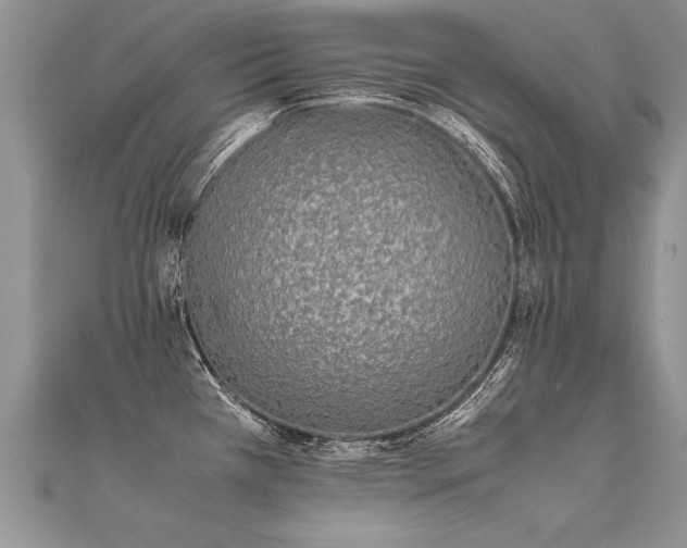 X0000112041385200908101351