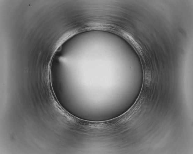 X0000112041386200908101351