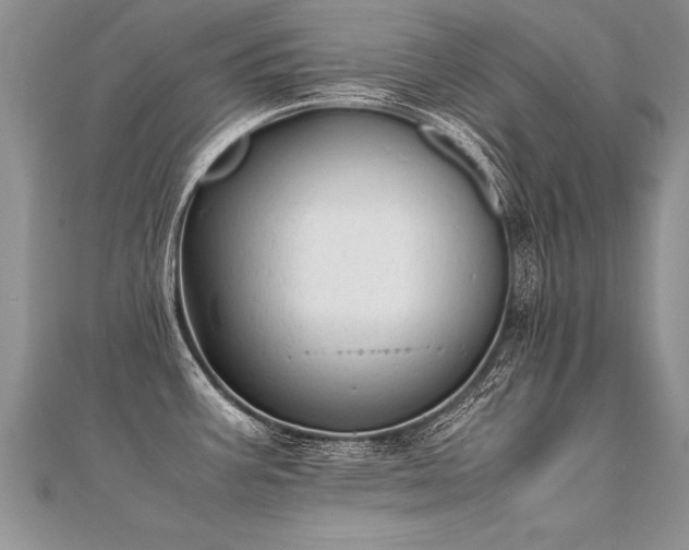 X0000112041387200908101351