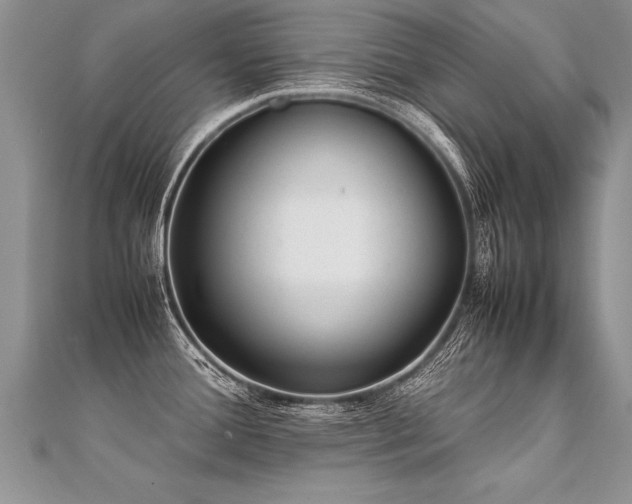 X0000112041388200908101351