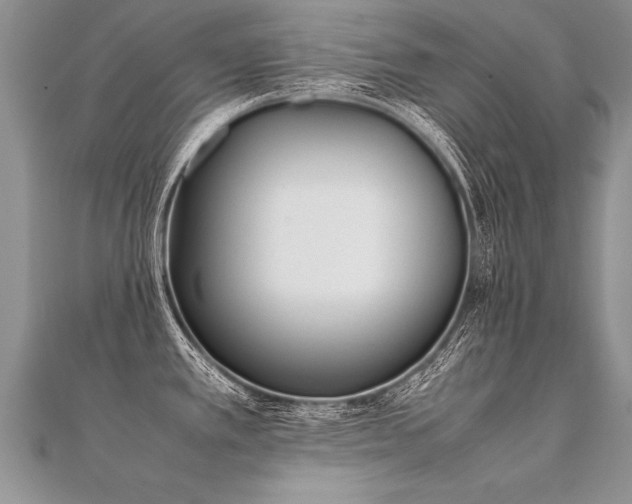 X0000112041389200908101351