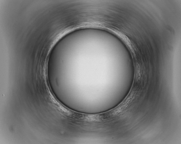 X0000112041390200908101351