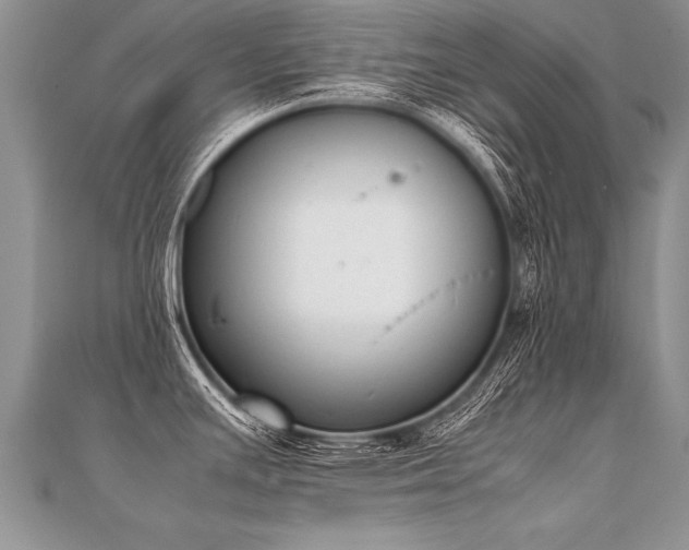 X0000112041391200908101351