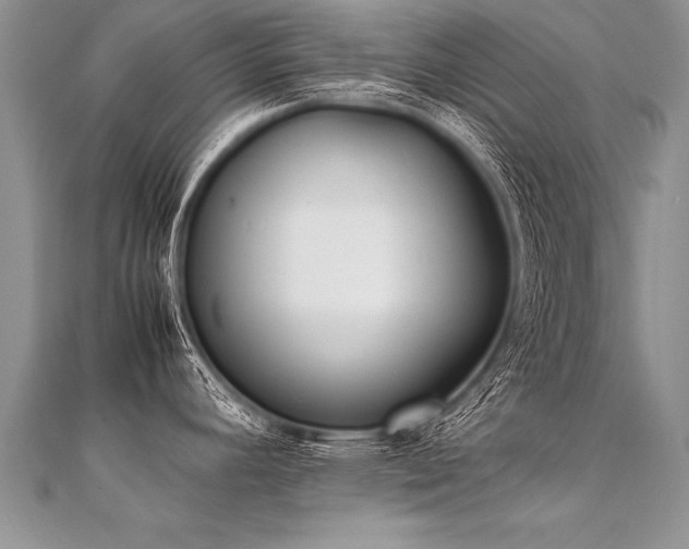 X0000112041392200908101351