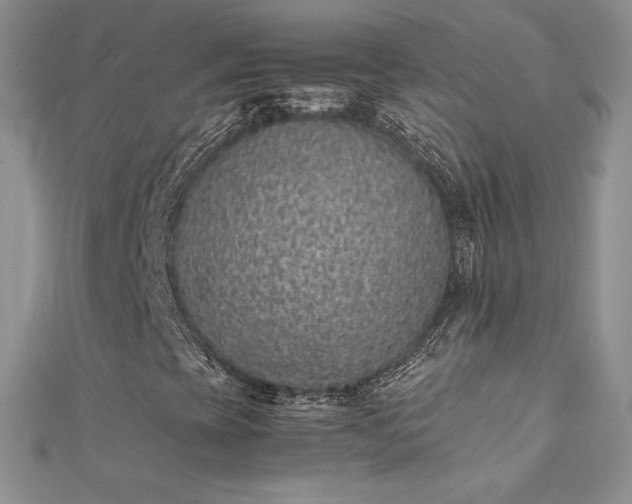 X0000112041393200908101350