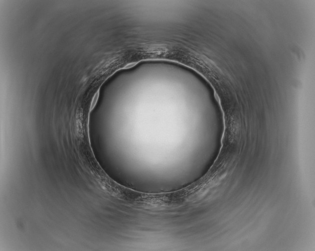 X0000112041394200908101350