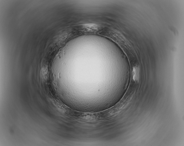 X0000112041395200908101350
