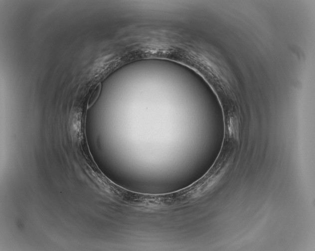X0000112041396200908101350