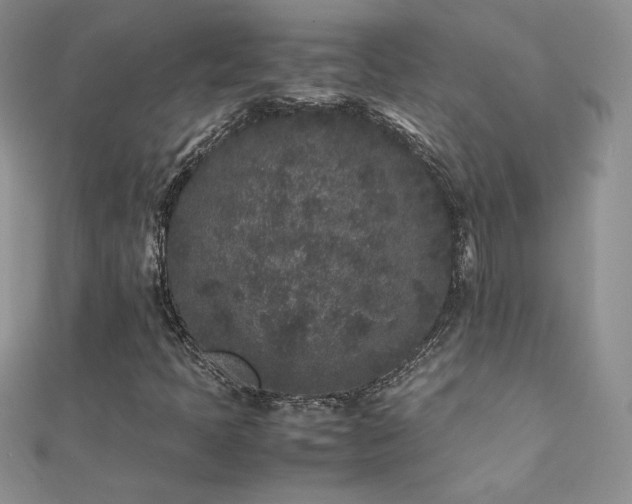 X0000112041397200908101350