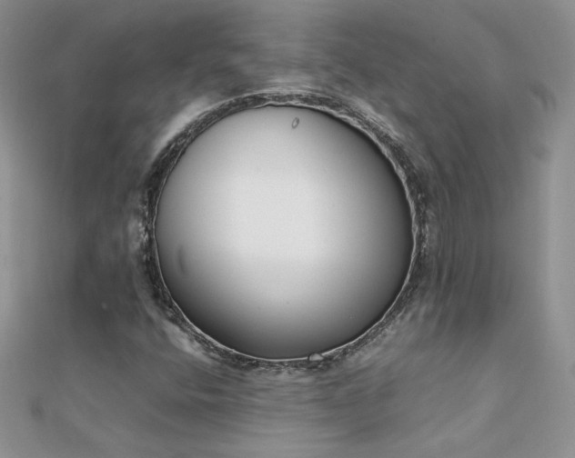 X0000112041400200908101350