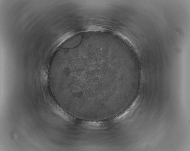 X0000112041401200908101350