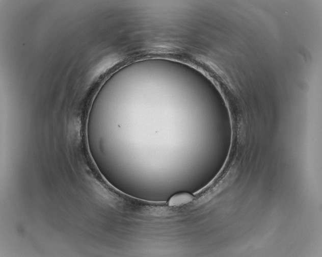 X0000112041402200908101351