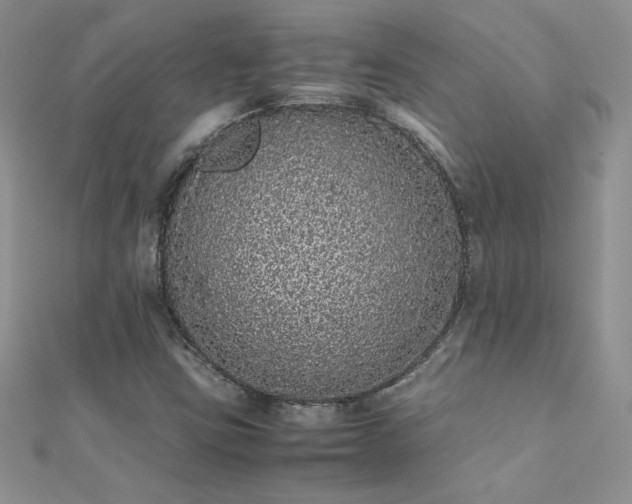X0000112041403200908101351