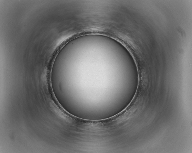 X0000112041404200908101351