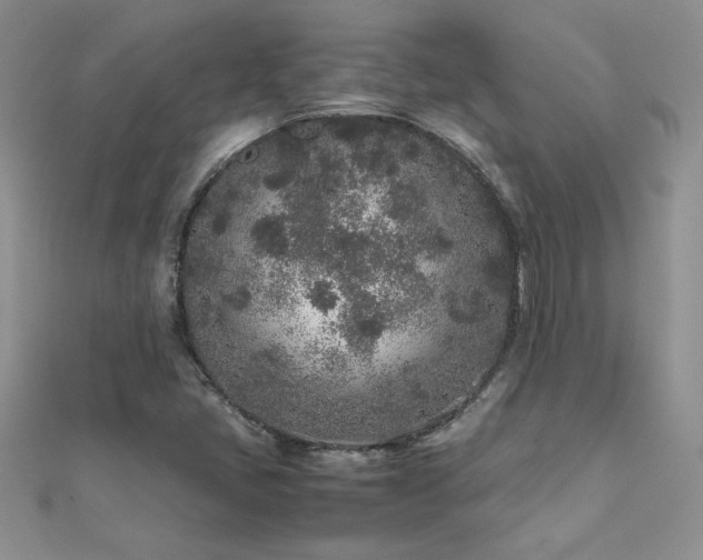 X0000112041405200908101351