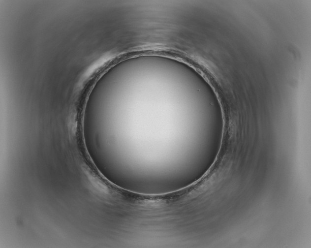 X0000112041406200908101351