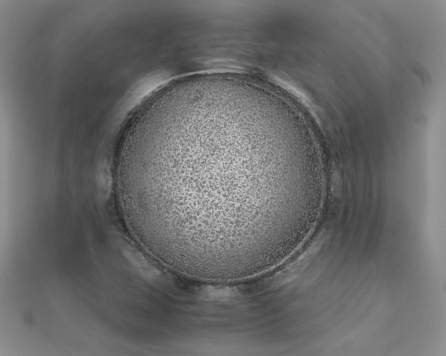 X0000112041407200908101351