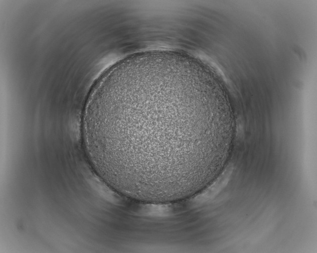 X0000112041409200908101351