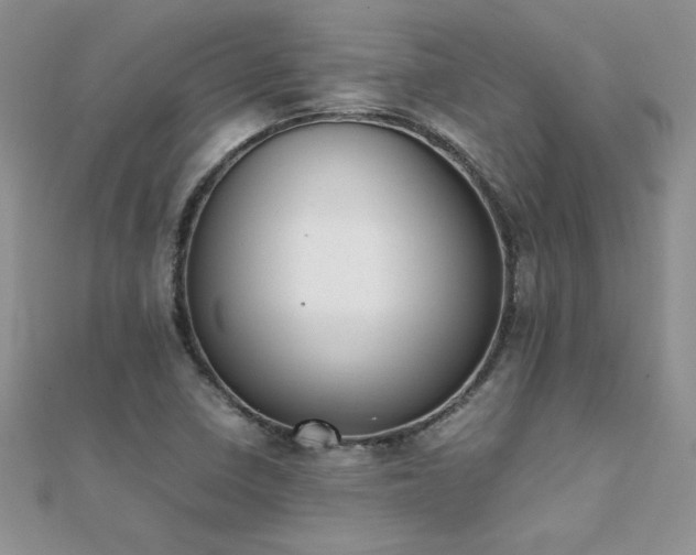 X0000112041410200908101351