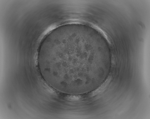 X0000112041411200908101351