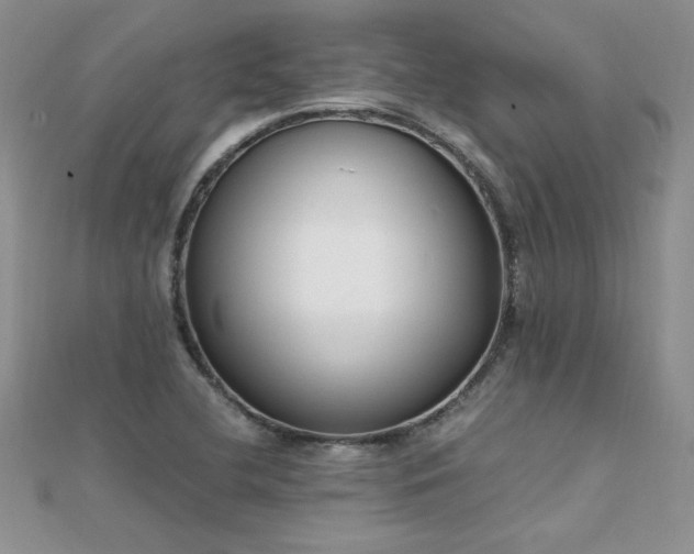 X0000112041412200908101351