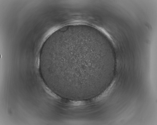 X0000112041413200908101351