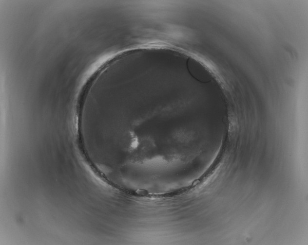 X0000112041414200908101351