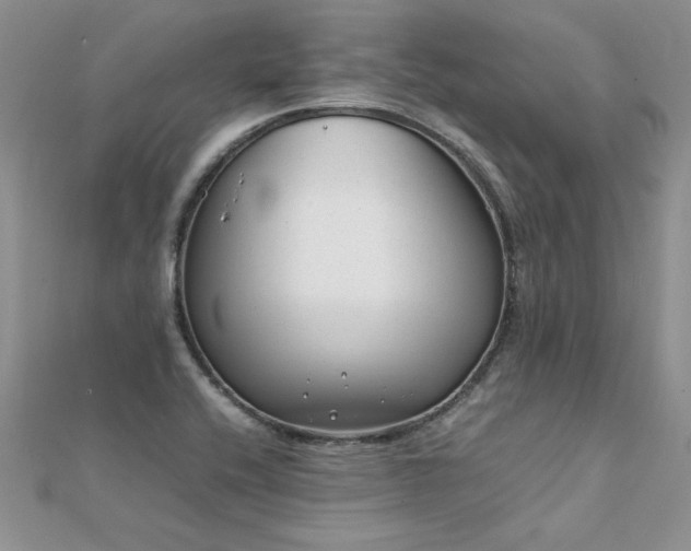 X0000112041416200908101351
