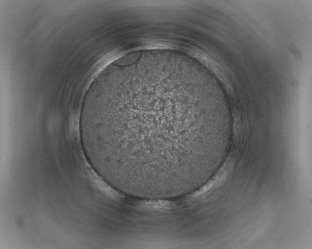 X0000112041417200908101351