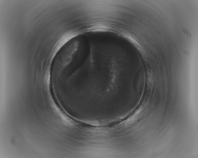 X0000112041418200908101351
