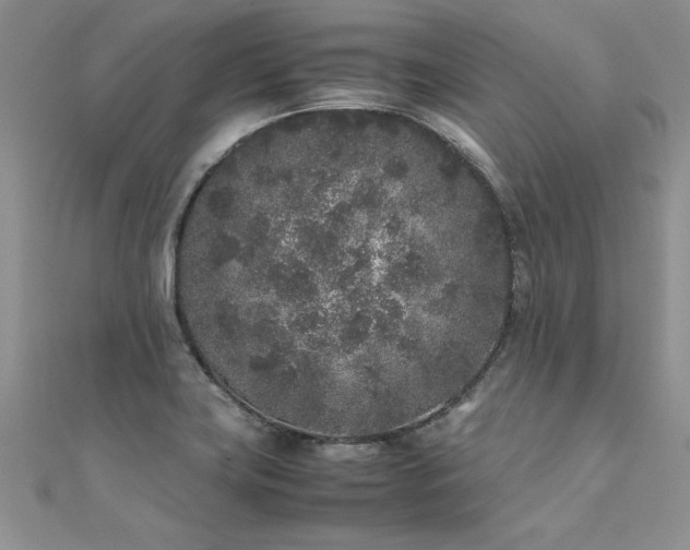 X0000112041419200908101351