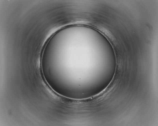X0000112041420200908101351