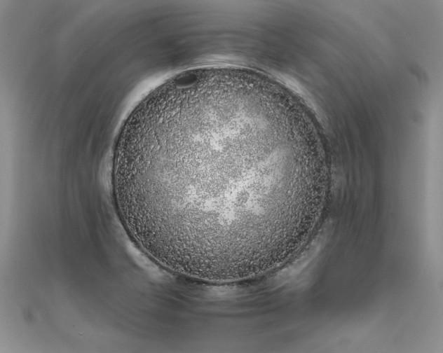 X0000112041421200908101351