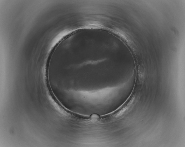 X0000112041422200908101351
