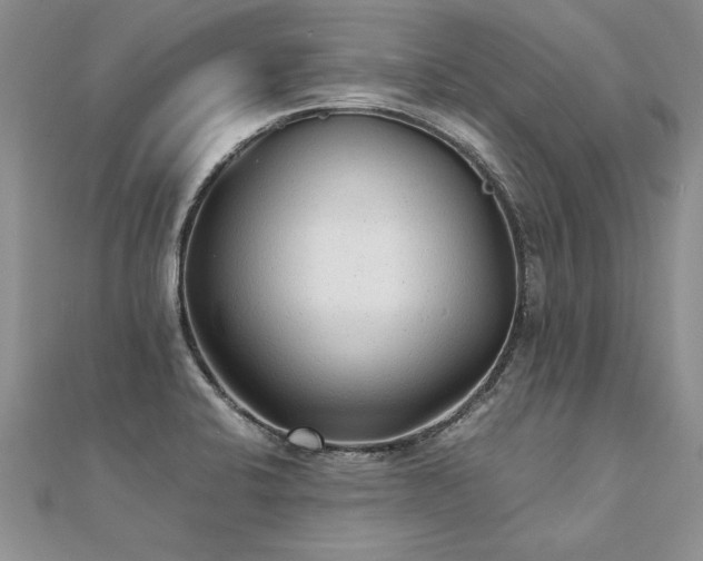 X0000112041424200908101351