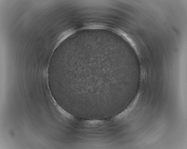 X0000112041425200908101351